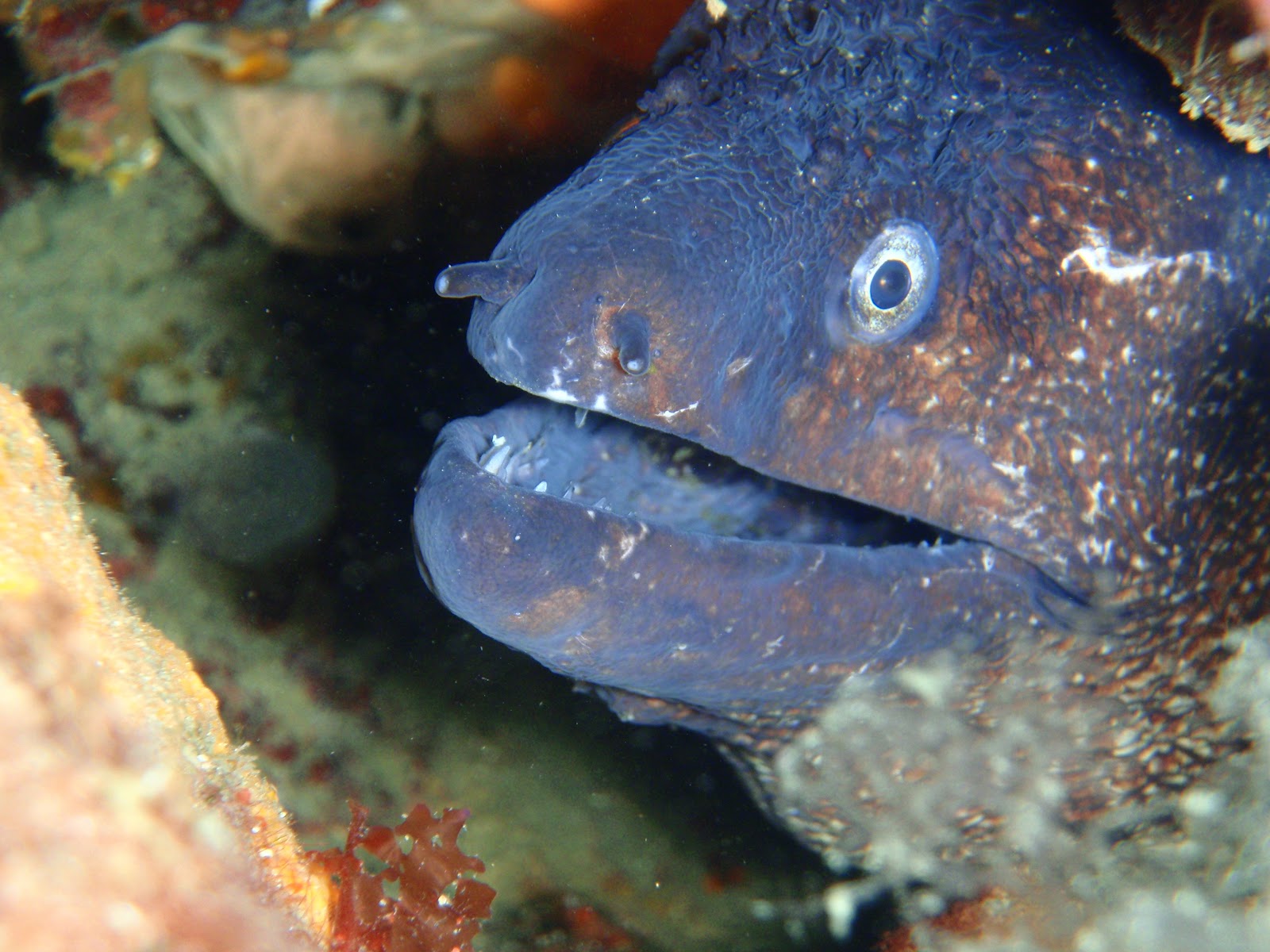 Keçiören Belediyesi Deniz Dünyası | Akvaryum Bölümü ...