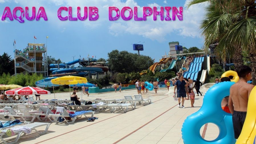 Aqua Club Dolphin