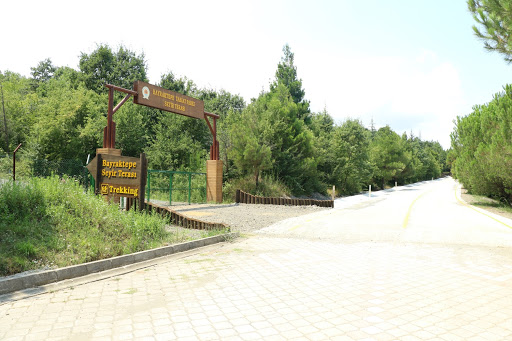 Bayraktepe Tabiat Parkı