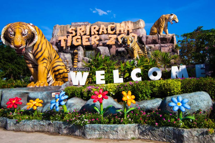 Sriracha Tiger Zoo (Sriracha Kaplan Hayvanat Bahçesi)