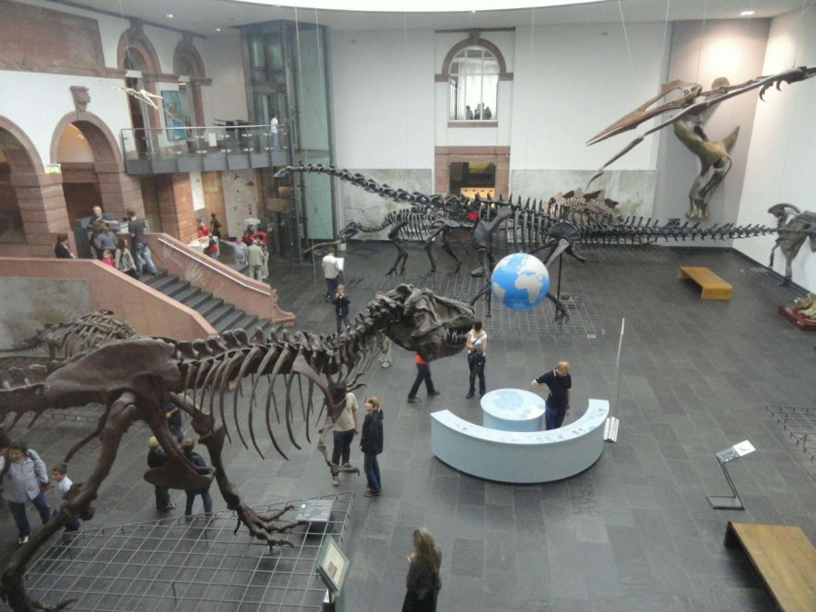 Senckenberg Müzesi (Senckenberg Natural History Museum)